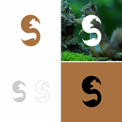 squirrel vector logo branding graphic design logo motion graphics vector