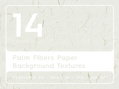 14 Palm Fibers Paper Textures chinese paper texture craft paper textures decorative paper textures floral paper textures hand made paper textures japan paper textures japanese paper textures natural paper textures organic paper textures palm fibers paper palm fibers paper textures palm hairs paper textures palm paper palm paper textures paper paper backdrops paper backgrounds paper textures rice paper textures textures