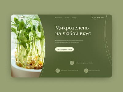 Design concept for the Microgreens store design concept graphic design ui