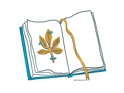 Let's open the book blue book chestnut illustration illustrator item leave website yellow