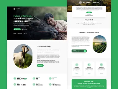 Futuredesh 2d agriculture branding clean design futuredesh graphic design harvest illustration investment modern simple ui uiux website