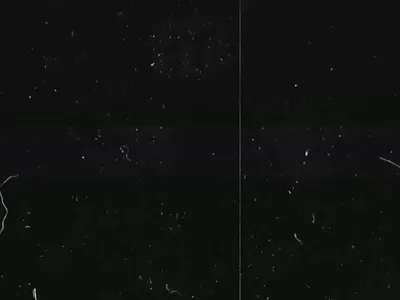 Twitch Assets for OBS animation branding motion graphics