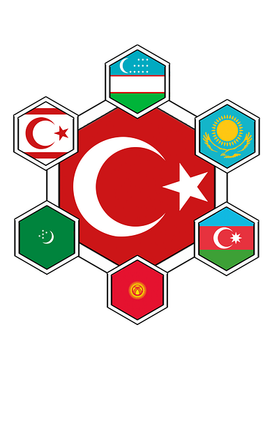 Turan Union branding logo