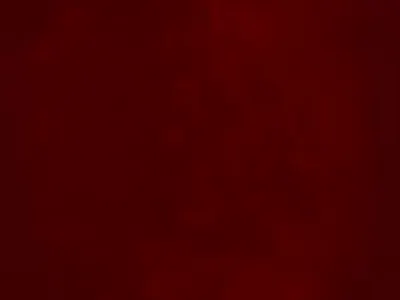 Animation Social Medai animation branding design illustration logo mo motion graphics vector