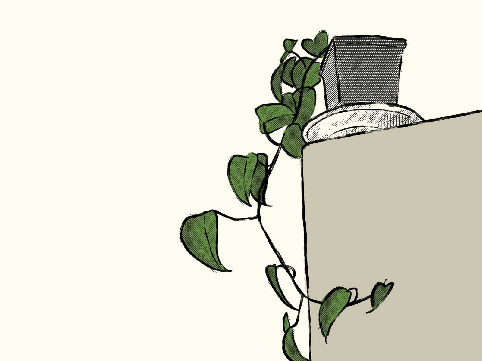 Pothos Plant Illustration digital art houseplant illustration procreate