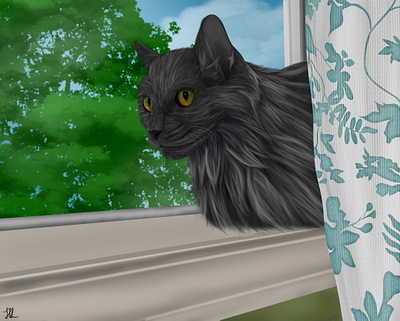 Rockie animal art cat design digital illustration drawing illustration painting