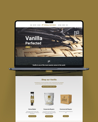 Vanilla Republic Website graphic design website website design website development
