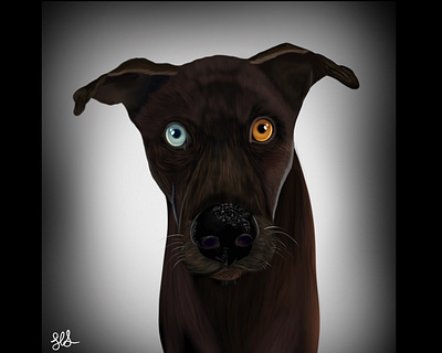Kip art design digital illustration dog drawing illustration painting