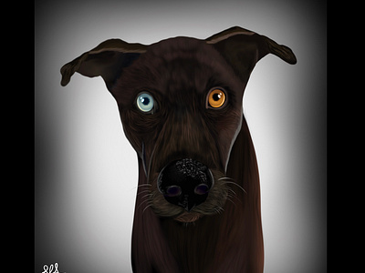 Kip art design digital illustration dog drawing illustration painting