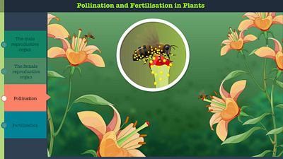 Pollination and Fertilisation in Plants 2d animation bee explainer video fertilisation flower graphic design illustration motion graphics plant pollination