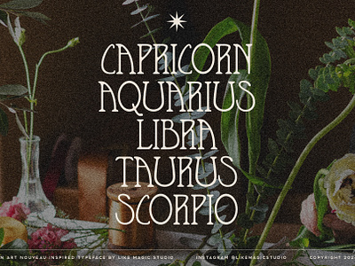 Bloom - An Art Nouveau Inspired Typeface art nouveau bloom design feminine horoscope serif typeface typography vintage zodiac