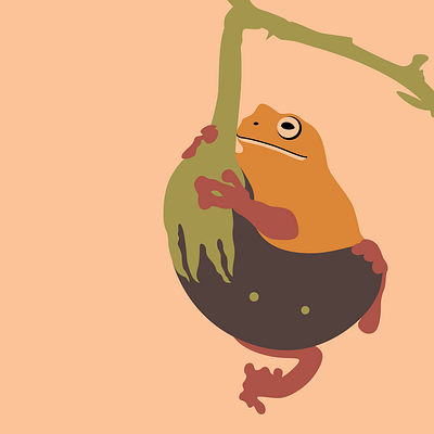 First 100 Frogs illustration vector