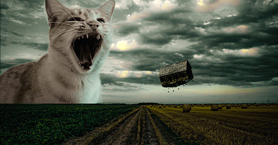 Cat Hole cats graphic design photoshop