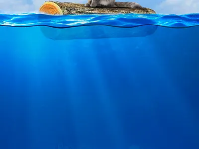 Cat at Sea cat cats graphic design photoshop