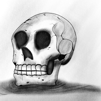 Skul black and white design illustration skeleton skull