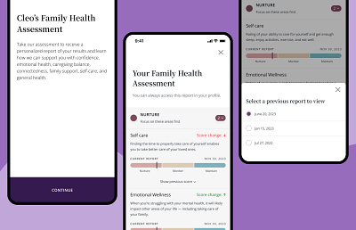 Family Health Report accordion assessent bottom sheet report ui ux design