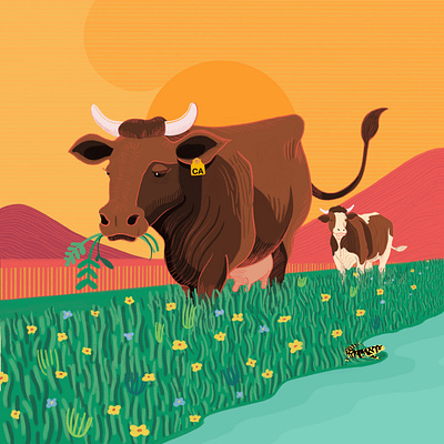 Podcast Cover: 'Welcome to Cowlifornia' cover art cows design drawing illustration podcast cover