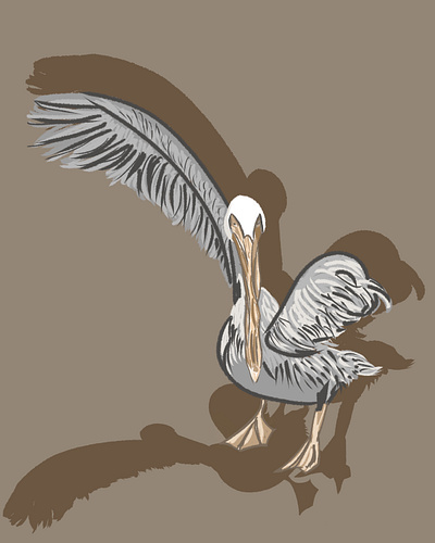 Pelican bird brown digital graphic illustration pelican