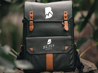 BLISS TREKS - BRAND IDENTITY brand brand and identity branding design grahic design graphic design graphics hikinglogo illustration logo mount mountlogo techuptodate vector