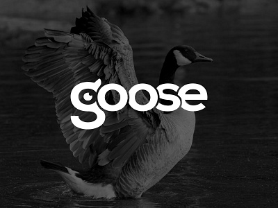 goose logo branding clothing dack baby design duck gang duck icon duck logo duck mark duck water goose goose baby goose icon goose letter logo goose logo goose water graphic design logo logodesigner quake logo