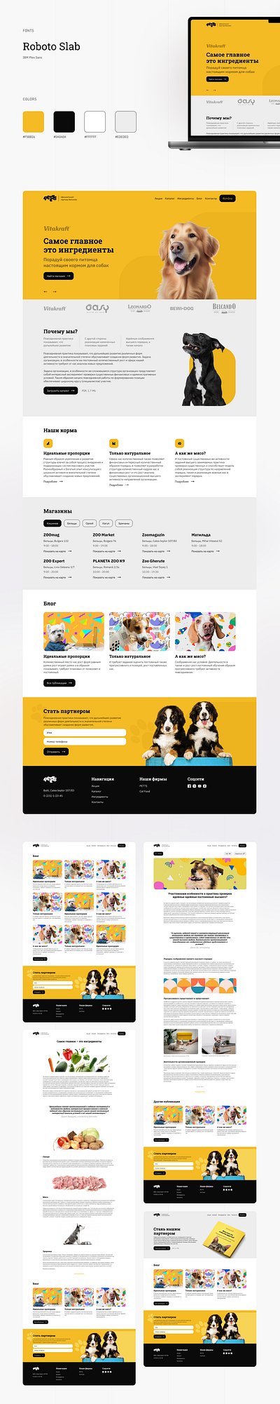Belcando website design figma web webdesign website