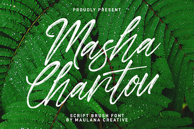 Masha Chantou Script Brush Font branding brush font brush typeface font fonts graphic design logo nostalgic typeface webfont