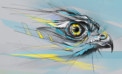 Hawk Eye bird design drawing eye illustration marcou pencil study