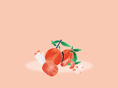 Tangerine animation illustration motion design motiongraphics tangerine vector