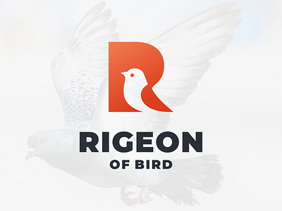 Letter R Pigeon Bird Negative Space Logo Design bird design dove freedom graphic design illustration letter r logo logo design logos logotype minimalist modern negative negative space peace pigeon pigeons rock pigeon simple