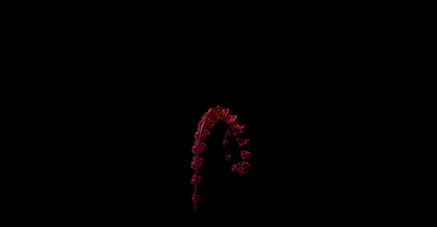 Fern Animation Exploration 3d adobe animation c4d fern motion graphics nature octane