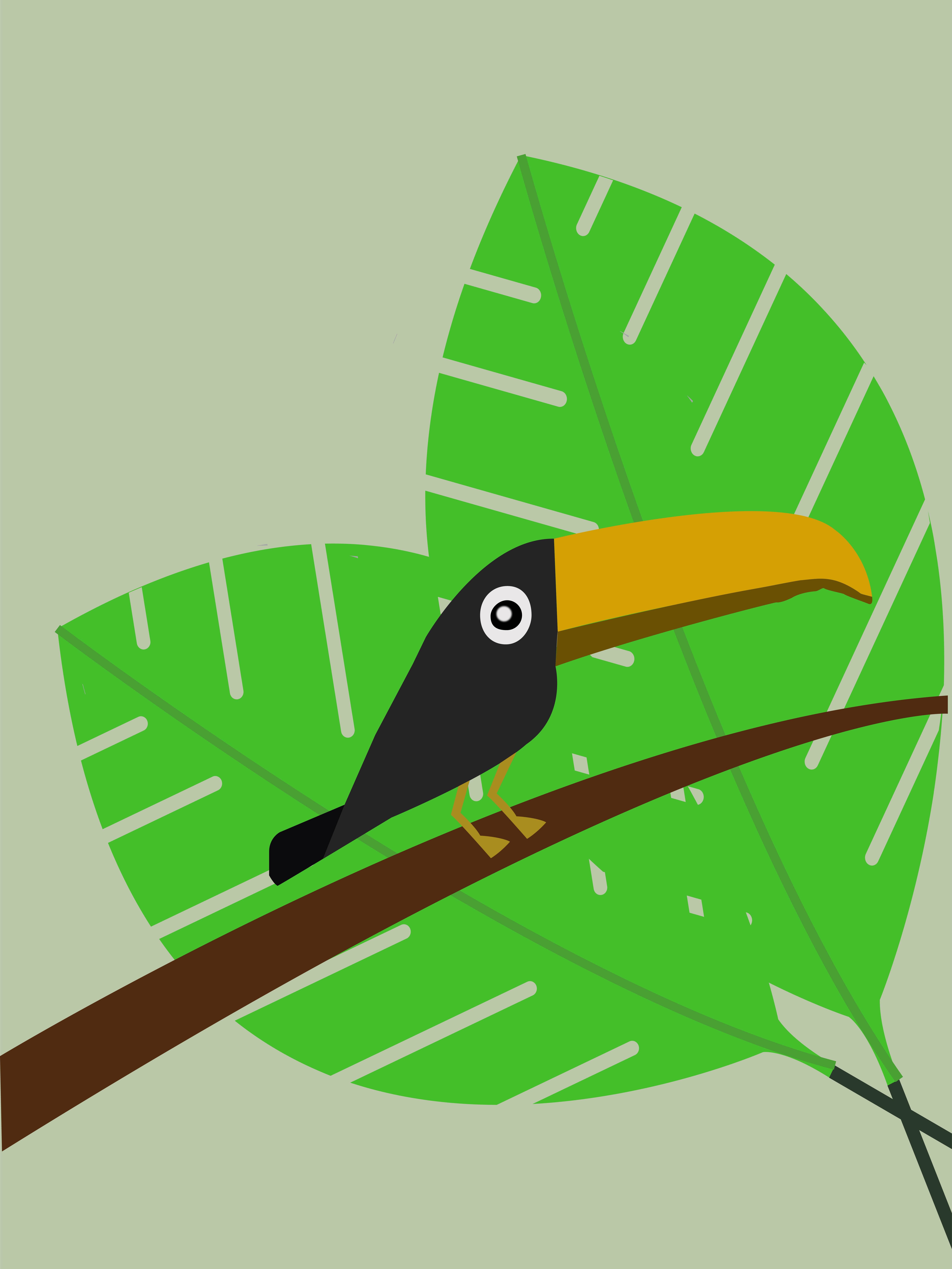 Toucan design illustration vector