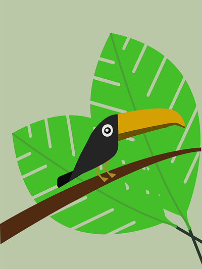 Toucan design illustration vector