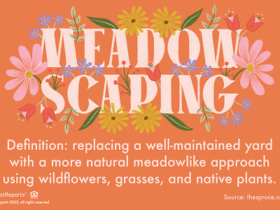 Meadow Scaping flowers garden hand lettering illustration leaves lettering meadow spring