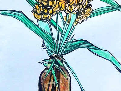 Marigolds in Mexico colored pencil flowers illustration marigolds mexico mixed media pen still life vase