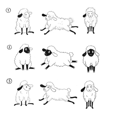 Character options for Sheldon the Sheep book illustration character design childrens book illustration sheep