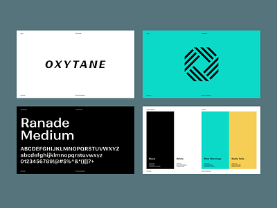 Oxytane Brand Guidelines branding logo