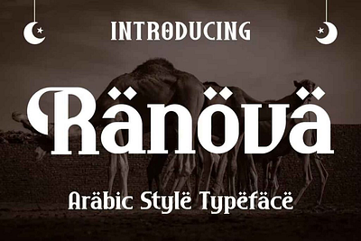 Ranova Font branding fonts graphic design logo typeface ui