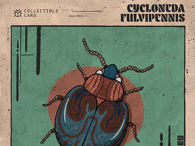 Cycloneda Fulvipennis Collectible Card collectible card collectible insect colorful illustration colorful insect colorful poster digital art digital card drawing illustrated poster illustration illustrations insect insect art insect poster insect print insects original art original insect art posters print