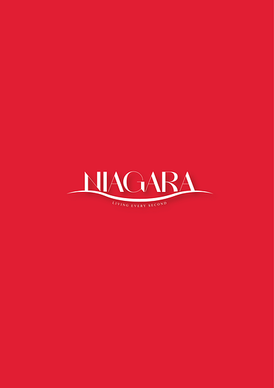 NIAGARA - Lingerie brand (Re-branding) branding design graphic design illus illustration logo typography