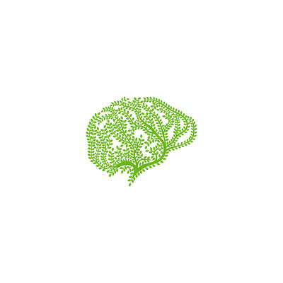 leaf brain logo brain logo leaf brain logo tree brain