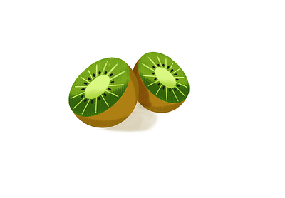 Kiwi fruit illustration kiwi vector