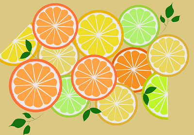 Colorful Oranges flat flat illustration fruit graphic design orange vector