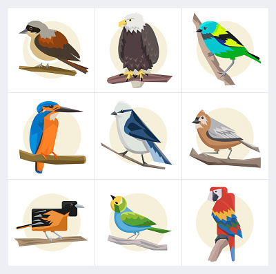 Birds birdillustration environmentillustration illustration illustrationart vectorillustration wildlifeillustration