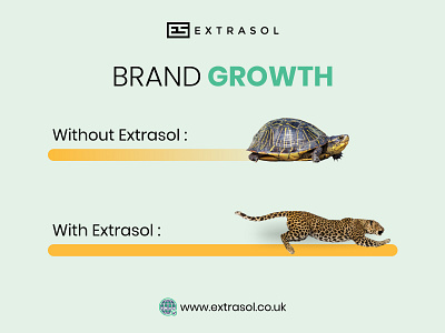 Unleash Your Brand's Potential Strategies for Sustainable Growth