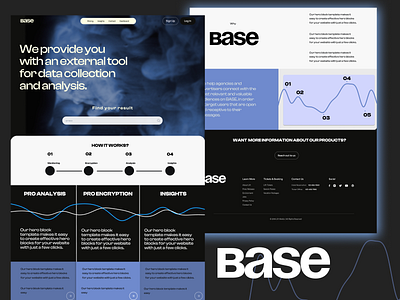 BASE Data Analysis Website analysis data ui uxui web