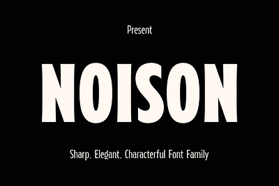 Noison Font Family branding font graphic design modern retro retro font tittle font