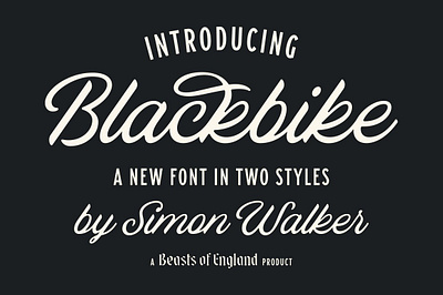 Black bike blackbike calligraphic font display font fashion ligatures modern retro script vintage