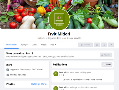 Frvit Midori school project (2021) branding business school community management digital fruitvegetables graphic design homework logo marketing school project