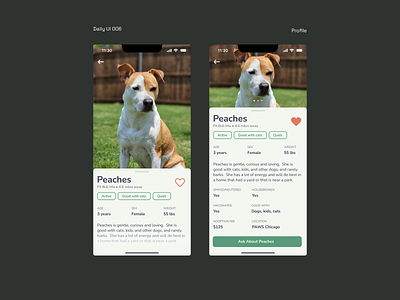 Daily UI 006- Profile daily ui 006 dailyui pet adoption profile