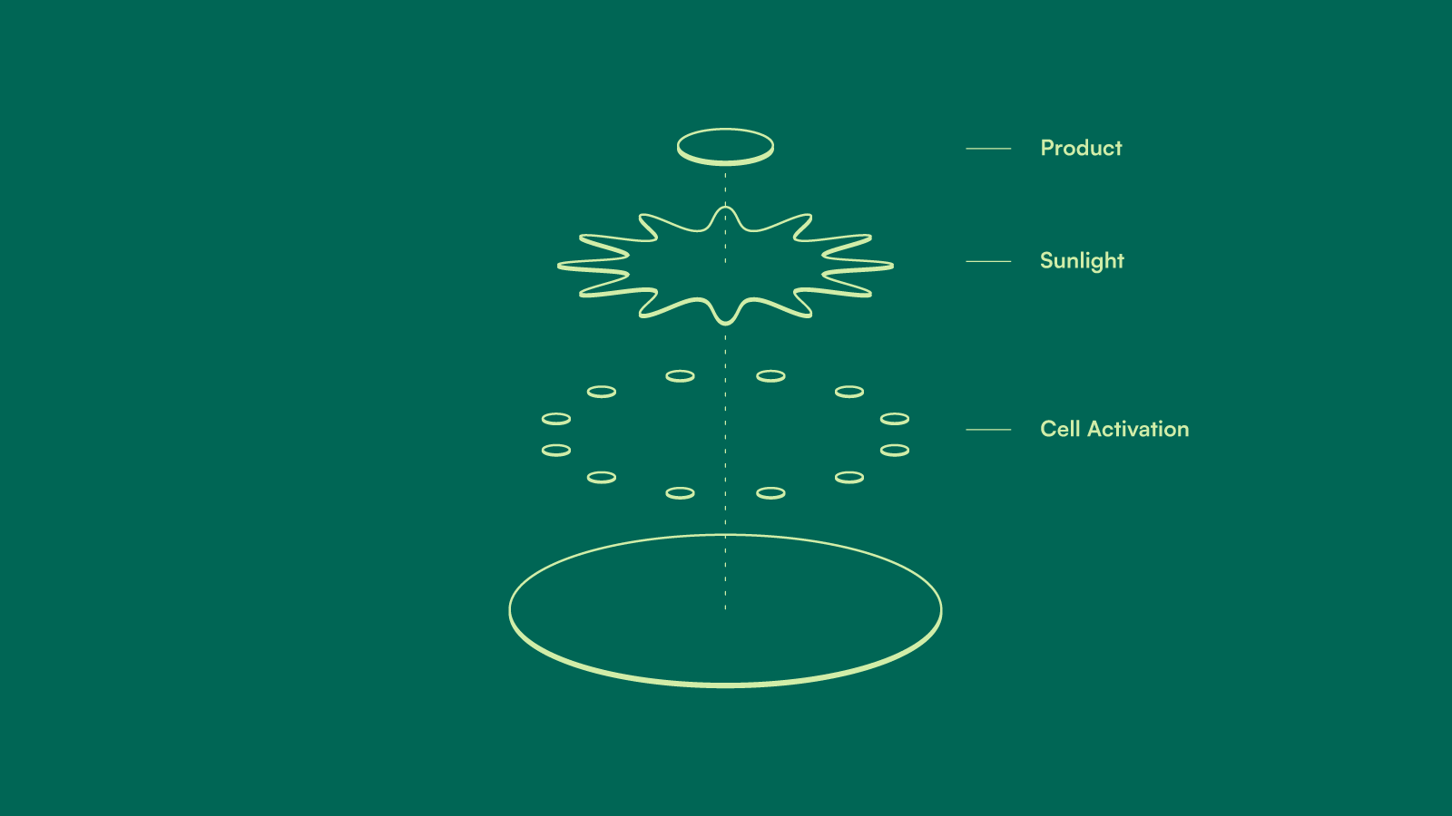 Sun Light Activation — Mark Breakdown badge branding cells light logo logo design logo mark sun sunlight